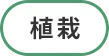 植林