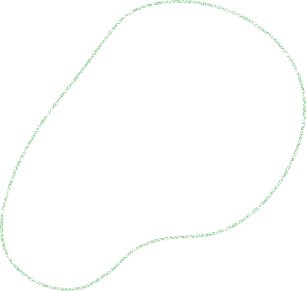 /image/DB03_shape02.png