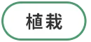 /image/sp_design01_btn_shokusai.png